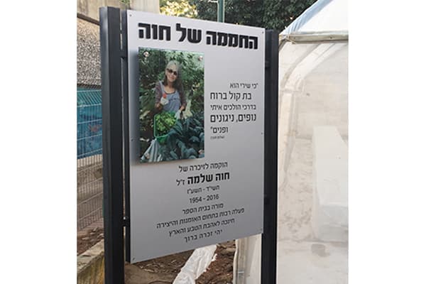 חריטה ולוחות זכוכית — תמונה 6 מתוך 11. לחיצה להגדלה