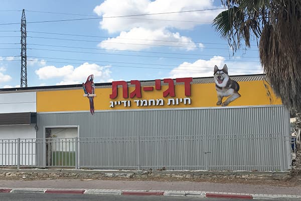 שלטים מוארים ותלת-ממד — תמונה 4 מתוך 12. לחיצה להגדלה